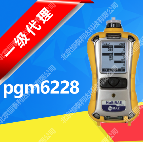 美國華瑞MultiRAEPro，PGM-6248六合一有毒有害氣體檢測儀PGM6248