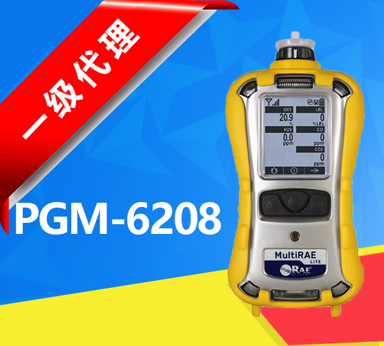 美國華瑞MultiRAEPro，PGM-6208六合一有毒有害氣體檢測儀pgm6208