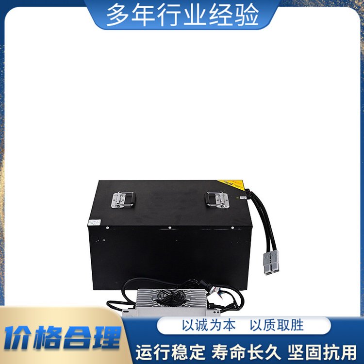 電動(dòng)車鋰電池組磷酸鐵鋰三輪電車電池多種可選擇