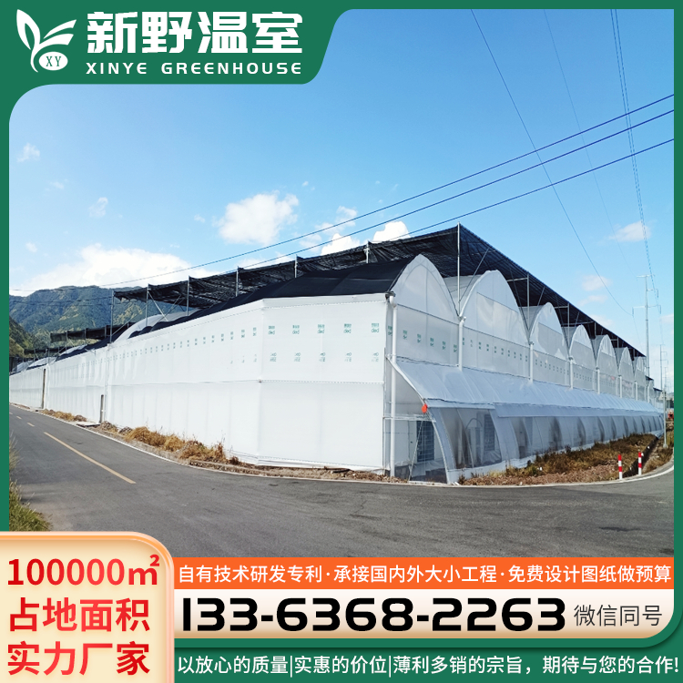 連棟陽(yáng)光板溫室拱形采摘大棚建造廠家農(nóng)業(yè)用種植果蔬大棚