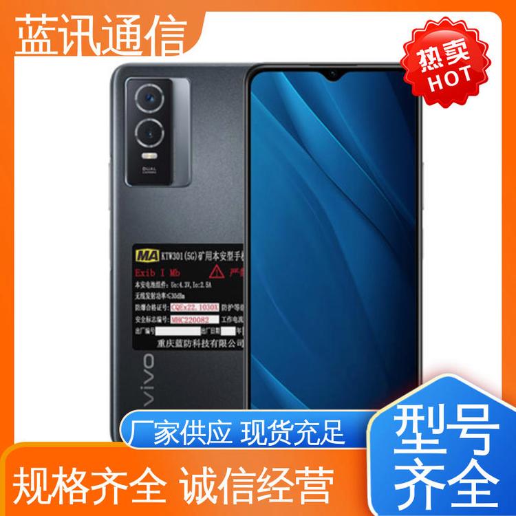 藍(lán)訊煤礦下井專用智能防爆通信設(shè)備便攜式電話機石油化工加油站