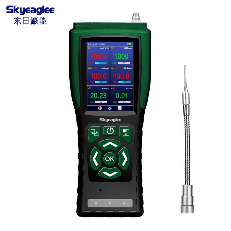 東日瀛能便攜式氣體檢測儀泵吸式有毒有害探測器多合一報(bào)警器