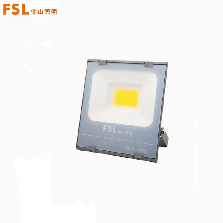 FSL照明星耀LED投光燈50W100W200W6500K白光