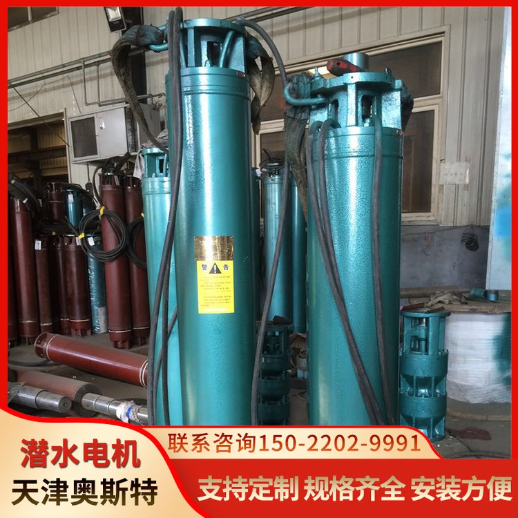 奧斯特泵業(yè)不銹鋼低壓潛水電機低噪音工作模式簡便設(shè)計適用性好