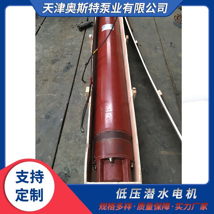 87KW低壓潛水電機天津奧斯特泵業(yè)深井中提取地下水