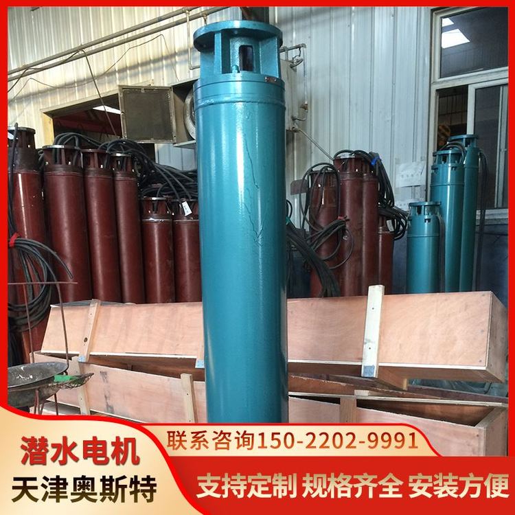 鋁青銅海水潛水泵易于安裝和維護(hù)城市增壓供水專(zhuān)用天津潛海水泵