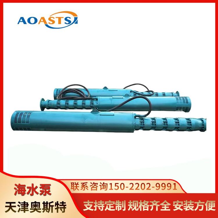 316材質(zhì)海水潛水泵防腐耐磨性能好適用于園林大流量海水泵廠家